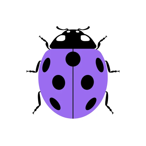 Ladybug realistic cartoon icon — Stock Vector