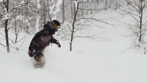Активный сноубордист, катающийся на порошке — стоковое видео