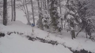 snowboard Freerider atlamak ormanda