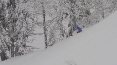 snowboard Freerider ormanda sürmek.