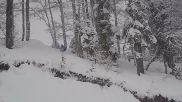 snowboarder Freerider sauter dans la forêt 