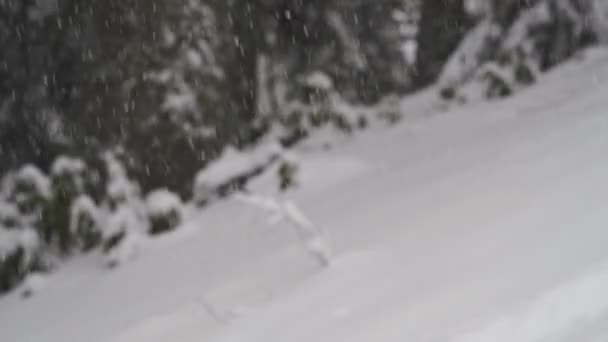 El snowboarder sube en Backcountry . — Vídeo de stock