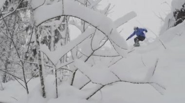 snowboard Freerider ormanda sürmek.