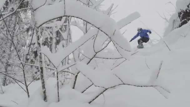 Snowboardista Freerider jezdí v lese — Stock video