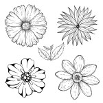 Set of 9 different hand drawn flowers, black and white isolated vector ...