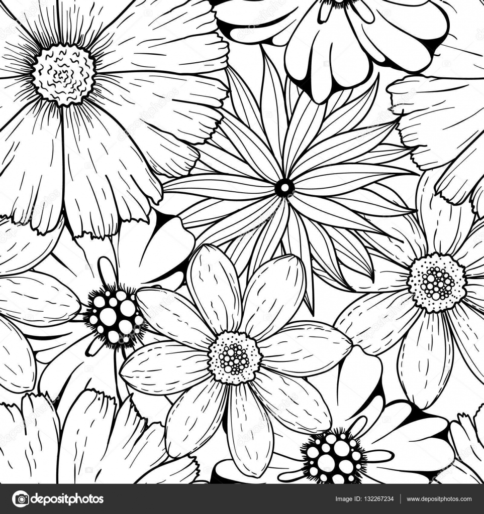 incolori neri fiori bianchi illustrazione isolato su bianco Camomiles bello magico A mano abbozzato doodle per libri da colorare il vostro disegno