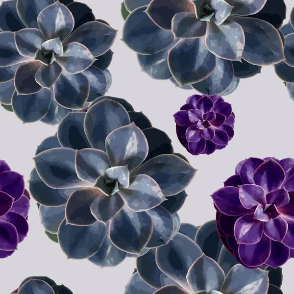 Nahtlose Muster mit Sukkulenten unterschiedlicher Farbe. Vektorillustration. Floraler Hintergrund. — Stockvektor