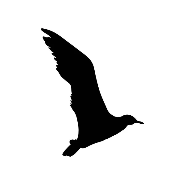 Flying Seagull Bird silhouette nera isolata su sfondo bianco. Illustrazione vettoriale — Vettoriale Stock