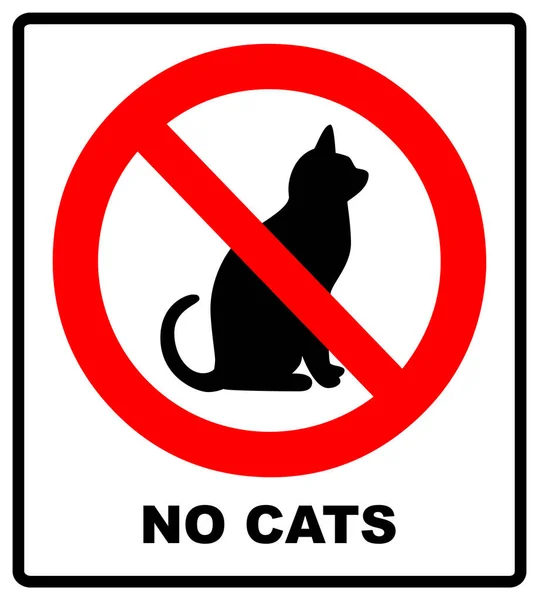 Kedi yok. İşaret konum veya evcil hayvan bu noktada veya bölge giriş yasaklayan. — Stok Vektör