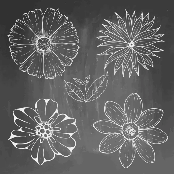 Elementos florais vintage desenhados à mão no quadro negro. Conjunto de flores e folhas. ilustração isolada em fundo de quadro de giz texturizado — Fotografia de Stock