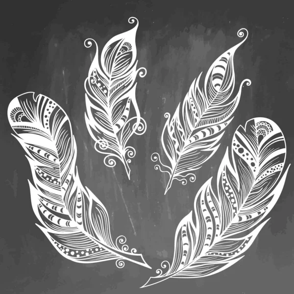 Feather hand drawn illustration. Sketch collection. Engraved style set of doodle plumes on chalkboard background — 스톡 사진