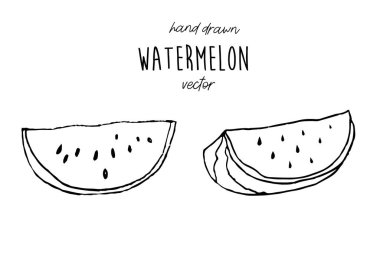 El çizimi quince vektör çizimi. El çizimi karpuz..