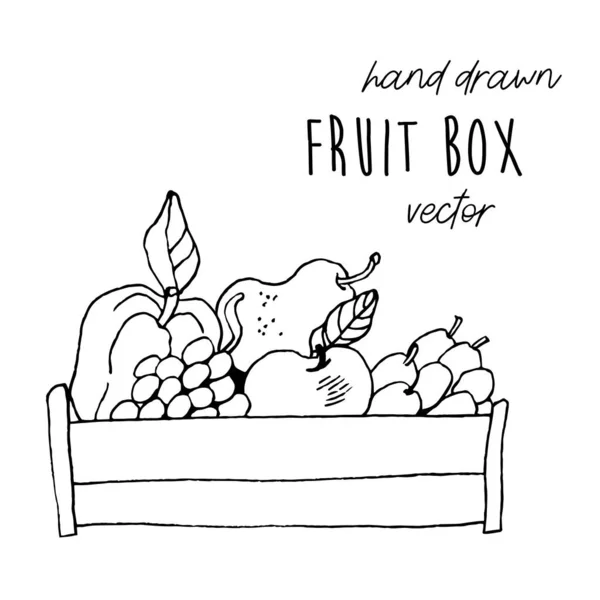 Caja Fruta Madera Ilustración Vectorial Dibujado Mano Ilustración Estilo Tinta — Vector de stock