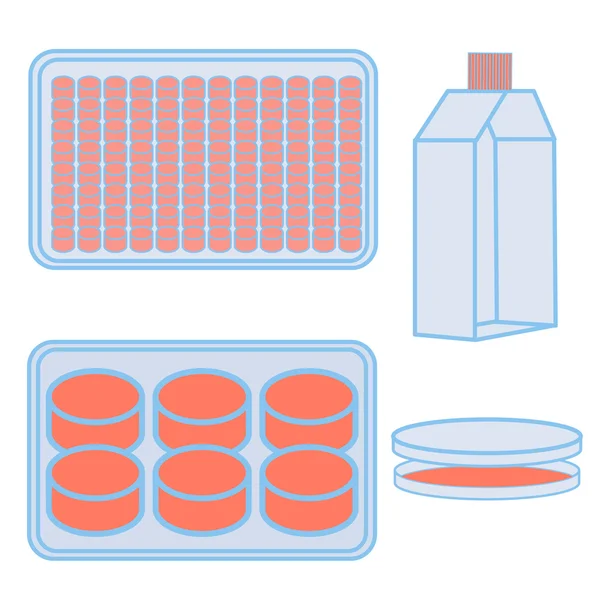 Balão e placas para cultivo de células —  Vetores de Stock