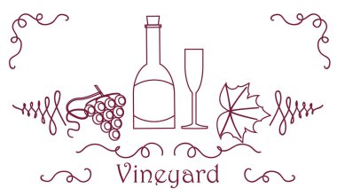 üzüm berry yaprak asma şişe