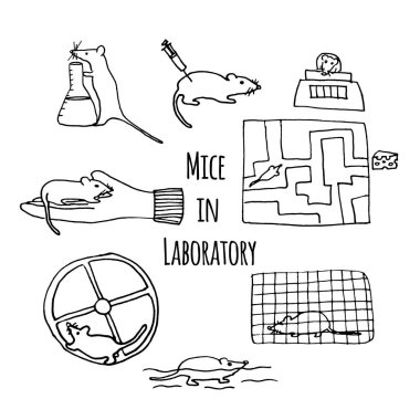 Laboratuvar elle çizilmiş fareler