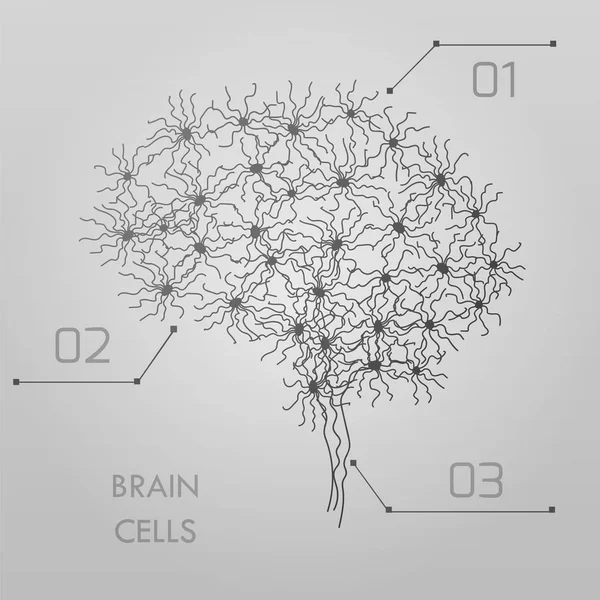 Brain cells connectome — Stock Vector
