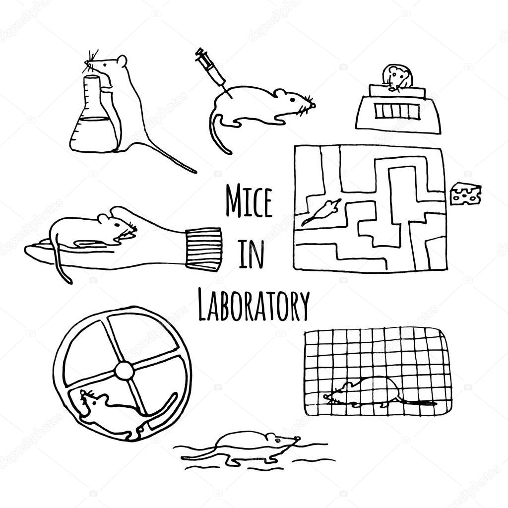 mice in laboratory hand drawn