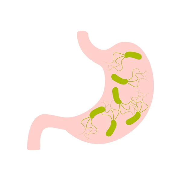 Estómago con helicobacter pylori icono plano — Vector de stock