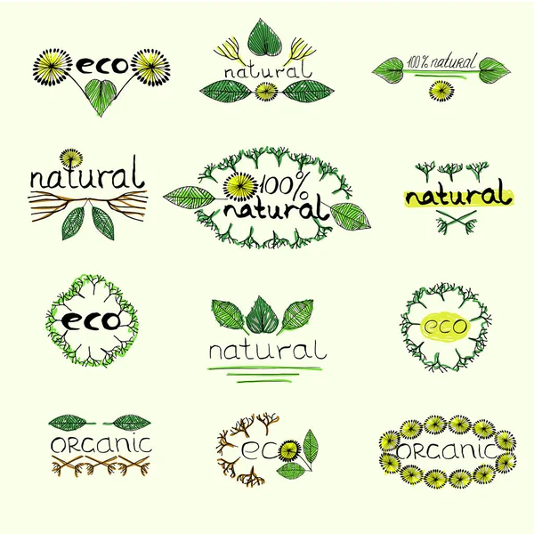 Insignia ecológica ecológica natural — Vector de stock