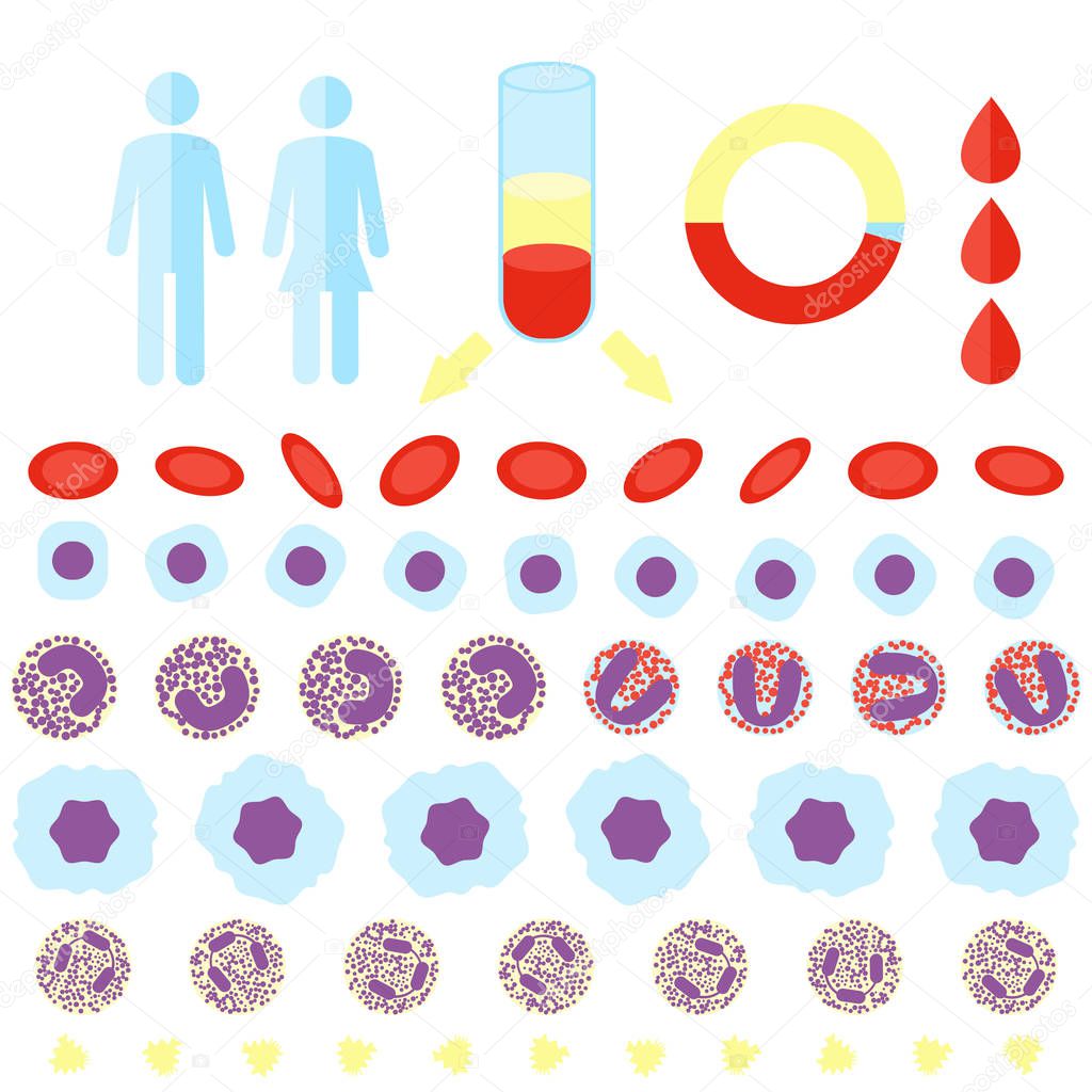 blood count test