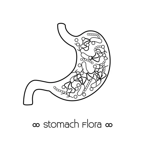 Maag met helicobacter pylori zwarte omtrek pictogram — Stockvector