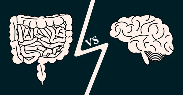 Gut versus konsep otak - Stok Vektor
