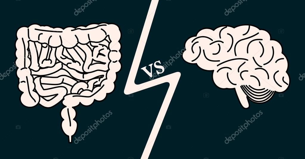 gut versus brain concept