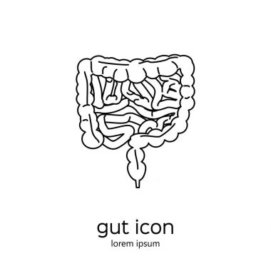 gut insan sindirim sistemi