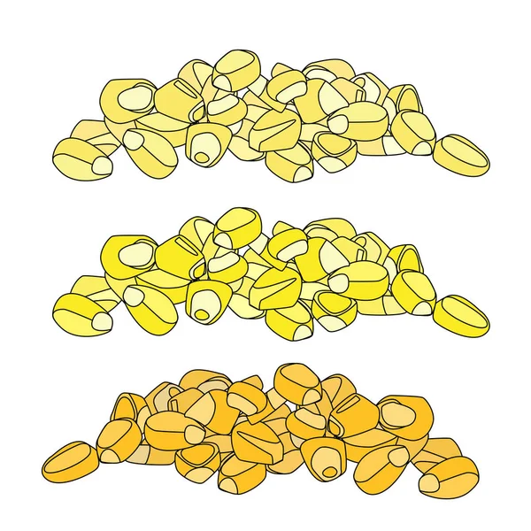 Sarı mısır tohumu — Stok Vektör