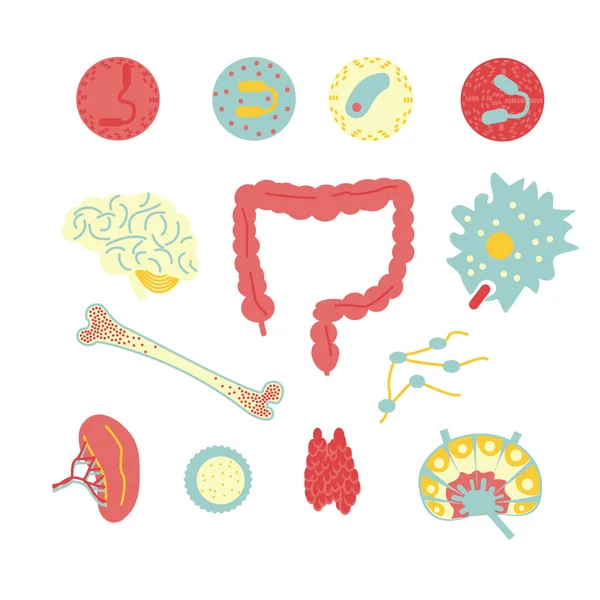 Immuunsysteem pictogramserie — Stockvector