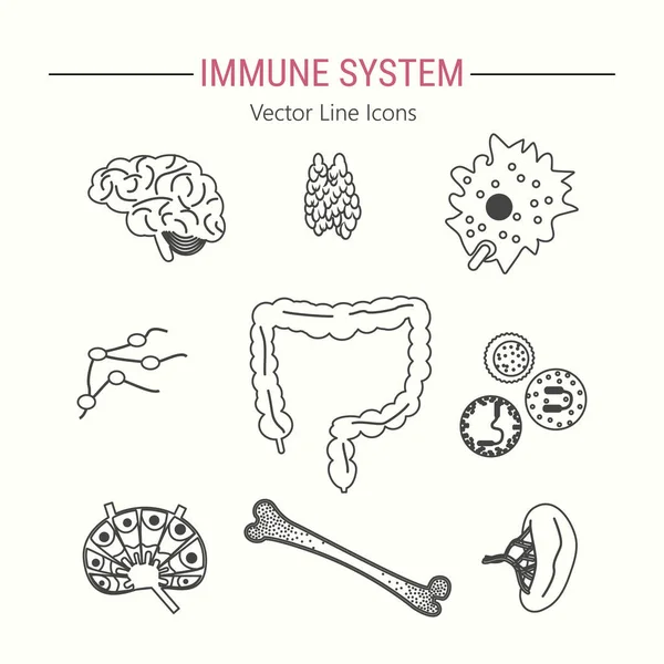 Set icona del sistema immunitario — Vettoriale Stock