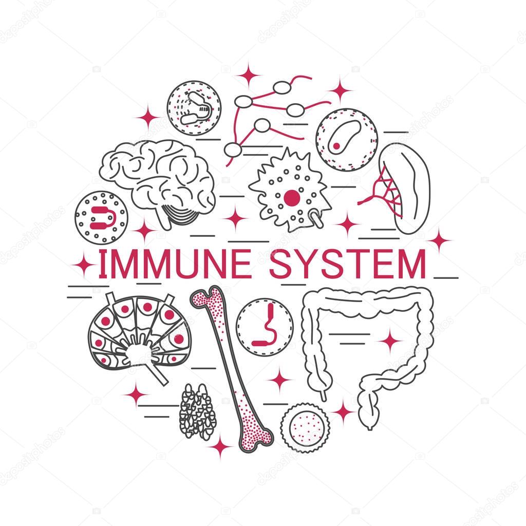immune system icon set