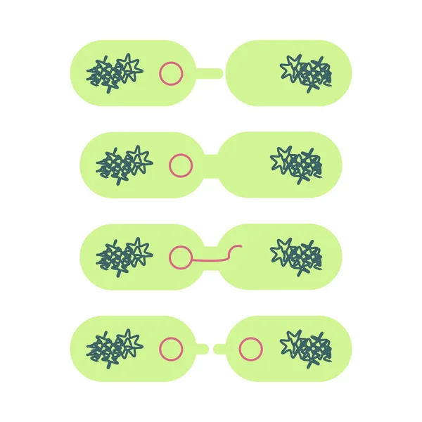 Plásmido en células bacterianas . — Vector de stock