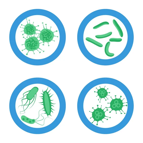 probitics bakteri küme oturum