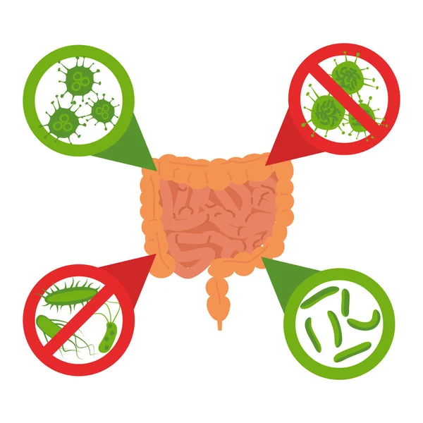 Stop baktériumok jel beállítása — Stock Vector