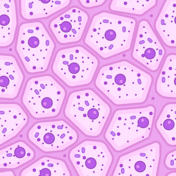 Epitheliale naadloze patroon — Stockvector