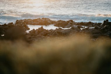 Kayalık sahil ön günbatımı ışıklar yeşil bitkiler ile okyanusun. Tenerife