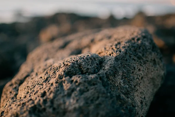 Volcanic stone on the rocky shore of the ocean on the sunset. Tenerife