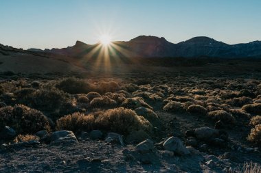 Çalılar ile Vadisi Sunrise. Teide Milli Parkı. Tenerife