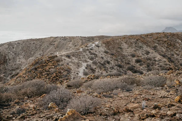 Hermosa Chica Camina Por Desierto Volcánico Por Noche Tenerife — Foto de Stock