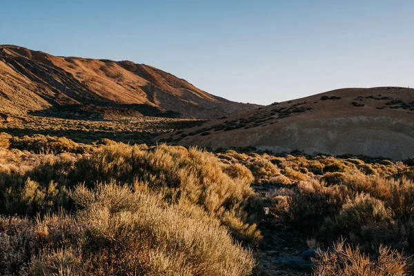 Valle Con Colinas Arbustos Por Mañana Parque Nacional Del Teide —  Fotos de Stock