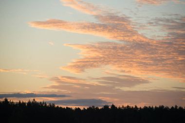 Turuncu bulutların üstünde yaz aylarında güneşin doğuşunu ormanın altında. Letonya