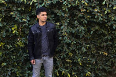 Yeşil yapraklardan oluşan bir duvarın içindeki İspanyol. Etrafı yapraklarla çevrili genç, şık bir esmer..