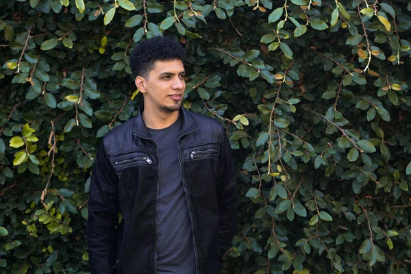 Hispanic i en vägg av gröna blad - ung snygg brunett omgiven av blad. — Stockfoto