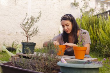 Hispanic woman preparing land to sow in small pot - Young woman taking care of her potted plants at home - Planting home plants - Young woman working in her aromatic herb garden - with flare clipart