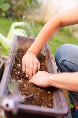 Bir kadının ellerinin yakın plan çekimleri, saksı toprağı ekmek için hazırlanıyor. Kadın kendi bahçesinde çalışıyor. Elleri toprak dolu..
