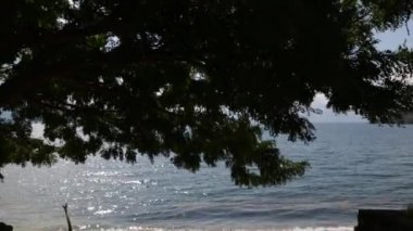 Atitlan Gölü, Guatemala, ağaçların yanındaki kıyılar, mavi gökyüzü ve volkanların ve dağların manzarası