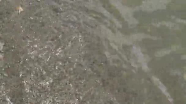 湖の岸への水の移動 大西洋の砂と海藻と砂の穏やかな海の海岸 グアテマラ — ストック動画