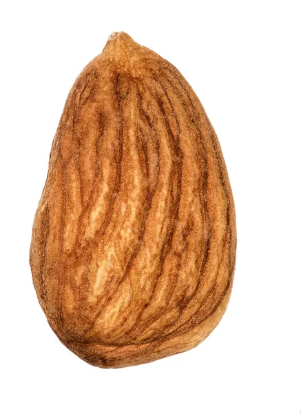 Single Almond Isolated on White Background — Stock Photo, Image